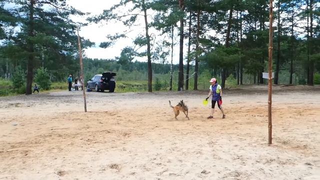 Малинуа Кира 6 лет .Летний лагерь #dogdreamschool смотреть онлайн