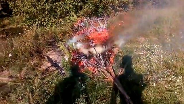 Как горит ель ??????????? смотреть онлайн