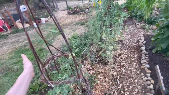 The Perks of Working at a Nudist Hots Springs ~ Sierrraville California смотреть онлайн