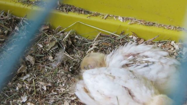 MVI 1073 смотреть онлайн