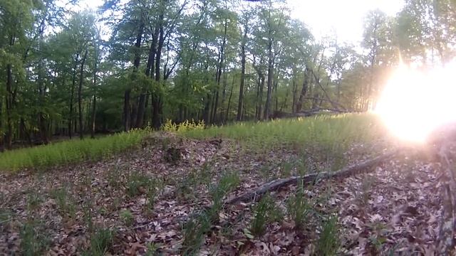 Coyote Kill 870 Remington смотреть онлайн