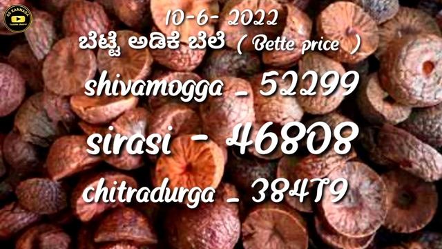 Today arecanut price| Today Ginger price |Today chali price| смотреть онлайн