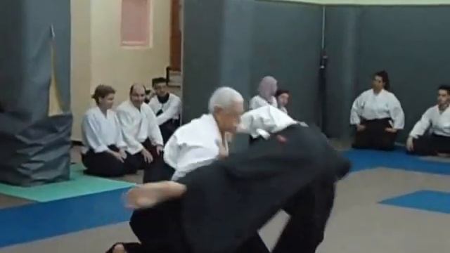 Maitre SILEM Hamid Cours d'AIKIDO du 19 04 2014 смотреть онлайн