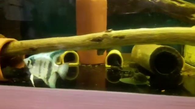 11 февраля 2021 г. смотреть онлайн