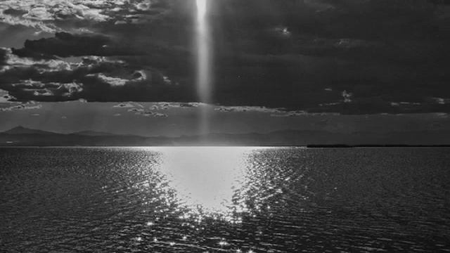 "The Dream Of The Dolphin" смотреть онлайн