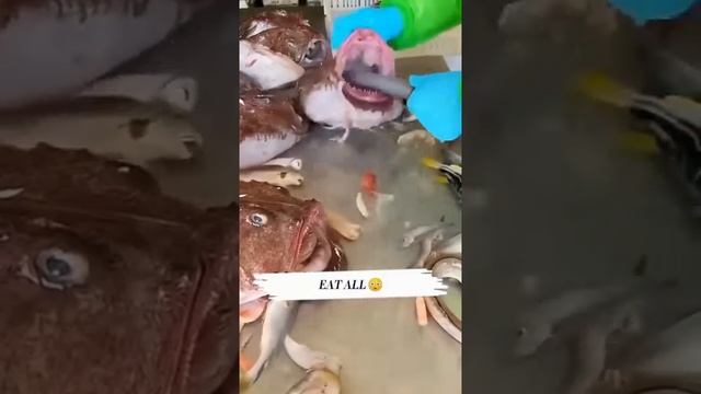 Слабонервным не смотреть смотреть онлайн