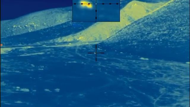 01.02.2023. Шакал на 441 м. Кыргызстан, Чуйская область.