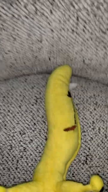 Banana slug #love #music #song смотреть онлайн