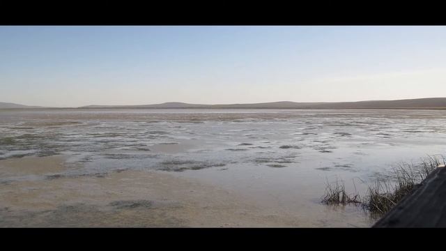 UCT Birding Club takes off смотреть онлайн