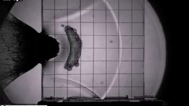 High-Speed Video Camera HPV-X2 – High Speed Collision of a Transparent Laminate with a Resin Sphere смотреть онлайн