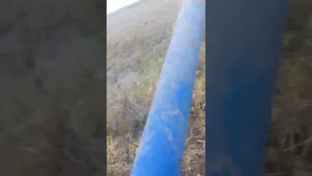 Уборка риса по воде смотреть онлайн