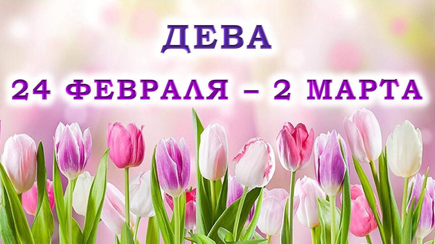 ♍ ДЕВА. 🌷 С 24 ФЕВРАЛЯ по 2 МАРТА 2025 г. 💖 Подробный Таро-прогноз 🫶 смотреть онлайн
