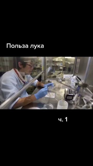 Польза лука #shorts #short смотреть онлайн