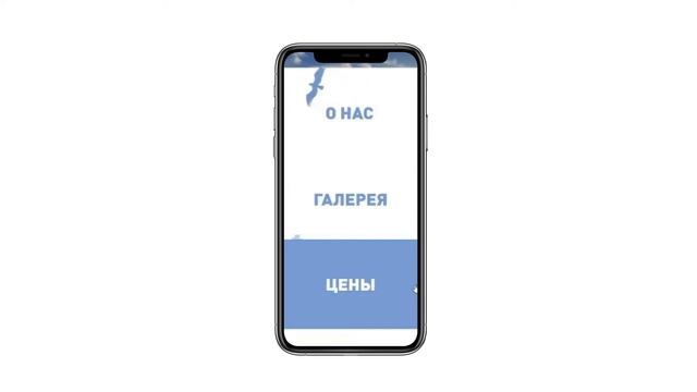Кузнецова Ксения. Центр соколиной охоты. 2021 смотреть онлайн