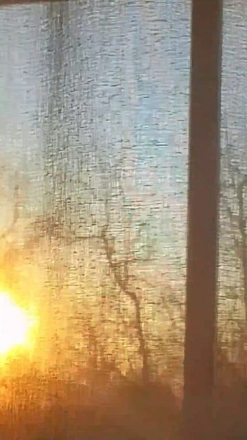 1000011370.mp4 смотреть онлайн