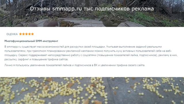 Отзывы smmapp.ru тыс подписчиков реклама смотреть онлайн