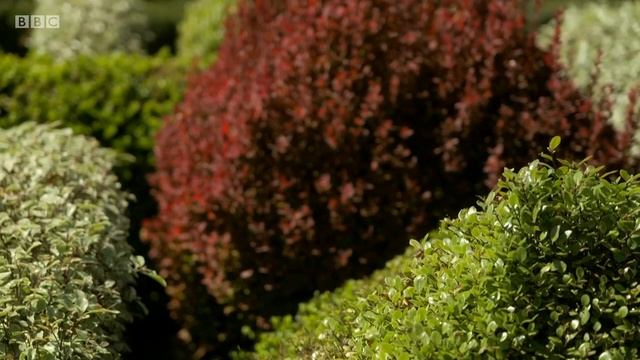 Gardeners' World Season 54 Episode 14