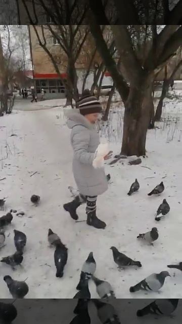 Голуби не отпускают смотреть онлайн