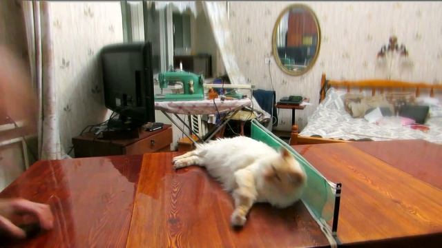 Мотя и теннис смотреть онлайн