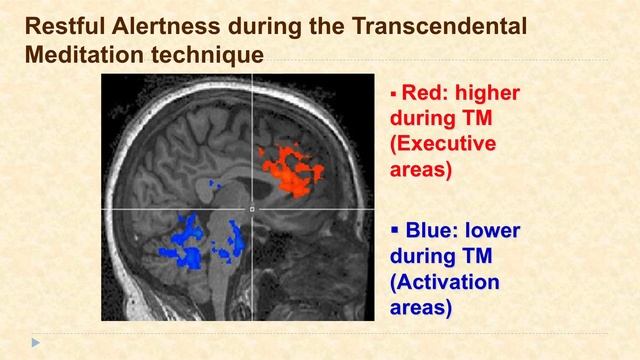 Neuroscientist Dr. Travis on TM & the Brain at the Rubin Museum of Art | David Lynch Foundation смотреть онлайн