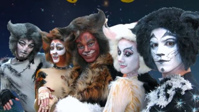 Musical Cats- Memory (Elaine Paige)