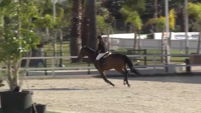 NIDOR DU PARC - Belen Serratosa Aliaga - Bronze 3 - 1.30m - Valencia (07.11.2014) смотреть онлайн