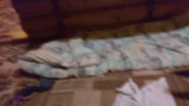 Уши как у зайца смотреть онлайн