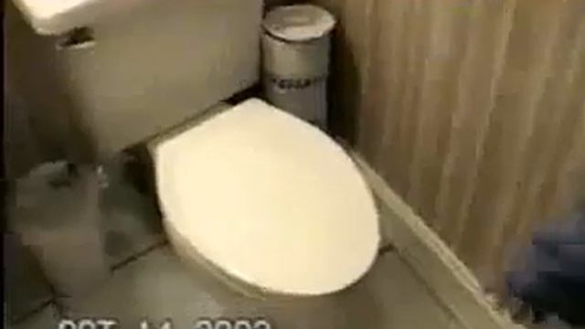самое смешное видео в мире смотреть онлайн