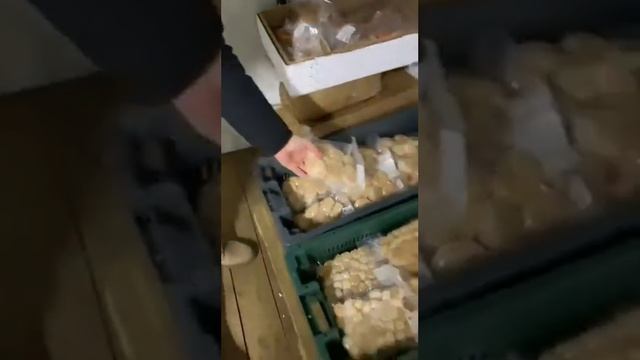 Рыба свежезамороженная смотреть онлайн