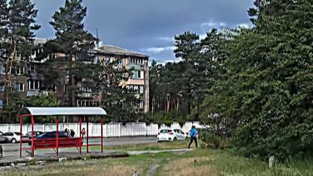 Голуби и цветы 20 May 2018 cvety смотреть онлайн