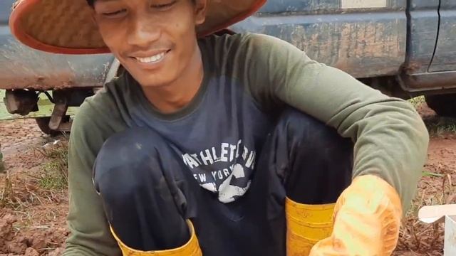 cara memanjakan pisang cavendish agar berbuah superrr! смотреть онлайн