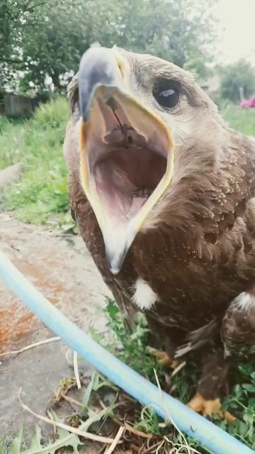 6 мая 2024 г. смотреть онлайн