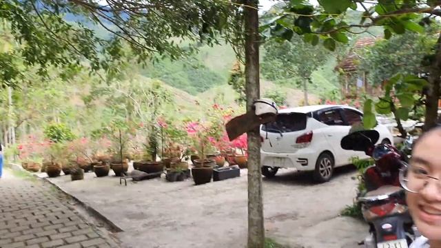 Review Bọ Cánh Cứng