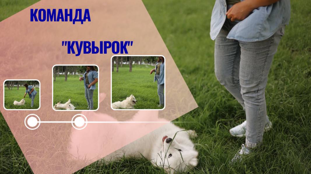 Команда "Кувырок" смотреть онлайн