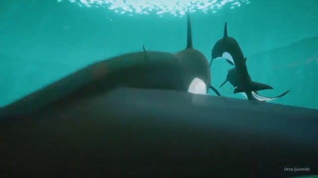 Abzu Relaxation and Meditation: Area 4 смотреть онлайн