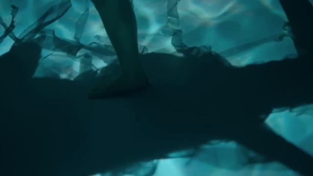ALCEST - Protection (OFFICIAL MUSIC VIDEO) смотреть онлайн