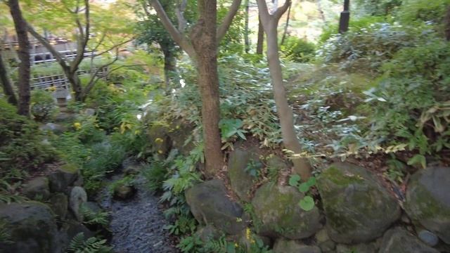 KOBE - Kansai Airport to Kobe, Sōrakuen Garden, Kobe Harborland, Sunset-dori, Torisoba Zagin смотреть онлайн