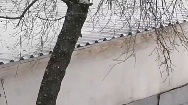 Серебряный снег [Zatriz 2020]