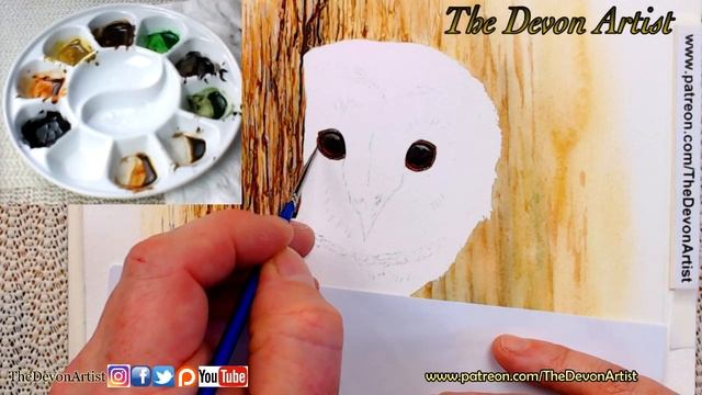 Watercolour Painting Demonstration - Painting a Barn Owl's Eyes! смотреть онлайн