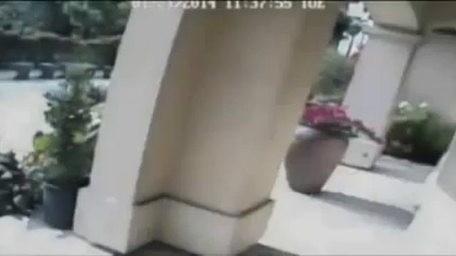 Не заметили медведя. смотреть онлайн