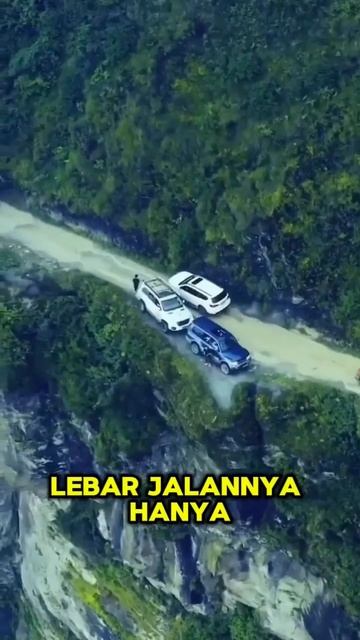 Jalan Cantik namun Mematikan, kok bisa??? #faktaunik #viralshort #faktadunia #china #fyp смотреть онлайн