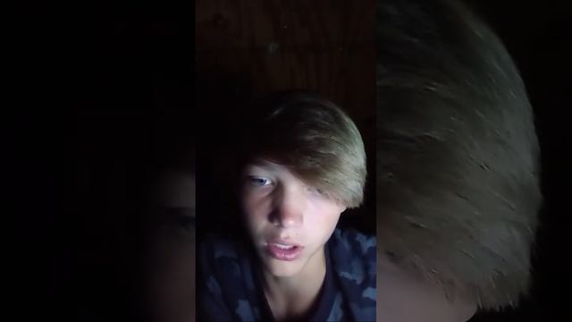 Q&A with The Viewers And Sub Goal! смотреть онлайн