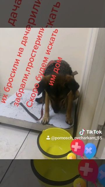 брошены на дачи смотреть онлайн