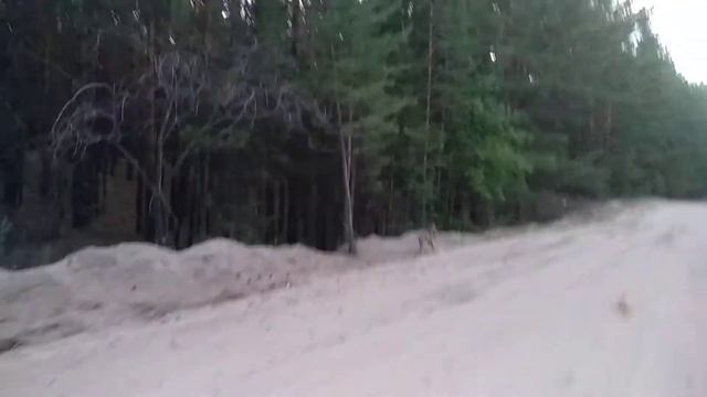 Встреча на песчанке. смотреть онлайн