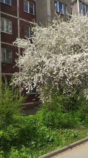 1 мая, Липецк, красота! смотреть онлайн