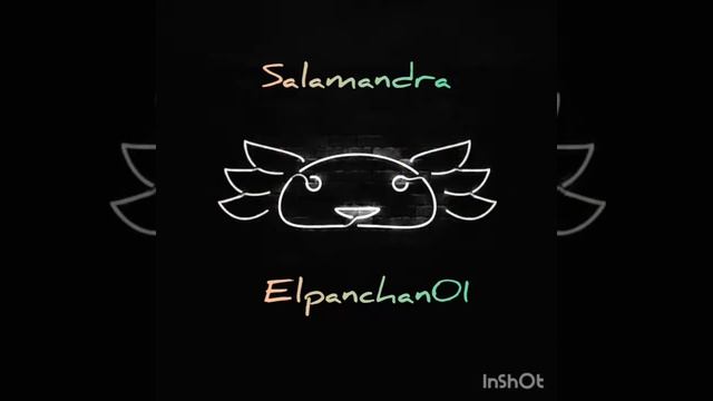 Salamandra(song)