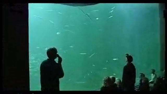 Sildestime смотреть онлайн