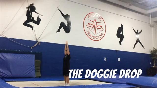 The Doggie Drop смотреть онлайн