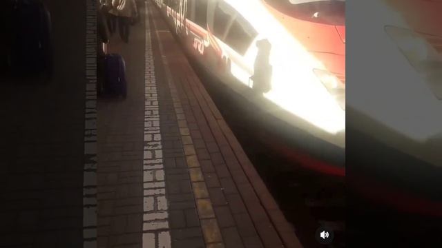 сапсан 🚅🚅 😉🤗#вокзал #лето #отдых #люди #поезда #shorts смотреть онлайн