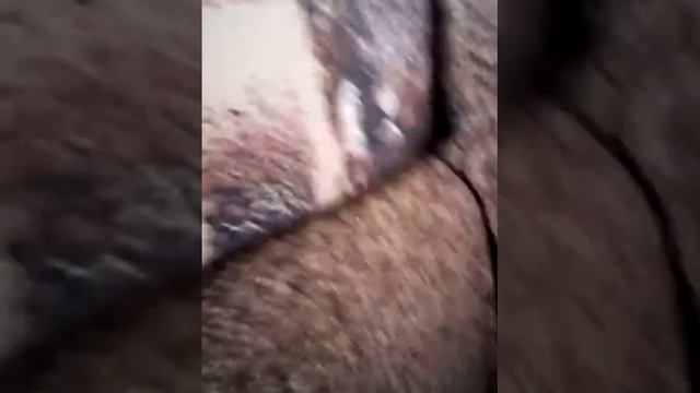 Помотри и подпишись ставь лайк! смотреть онлайн